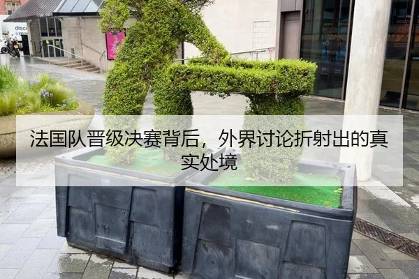 法国队晋级决赛背后，外界讨论折射出的真实处境